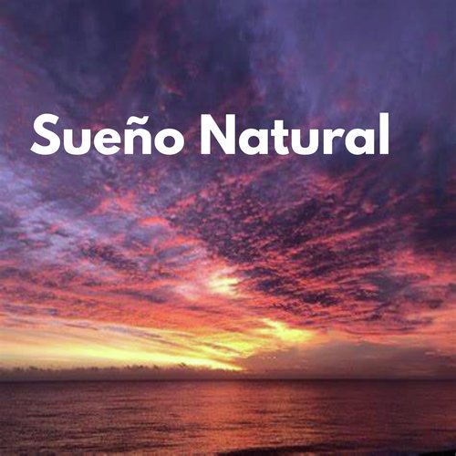 Sueño Natural_poster_image