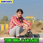 Tere Bina Jaan Ladli