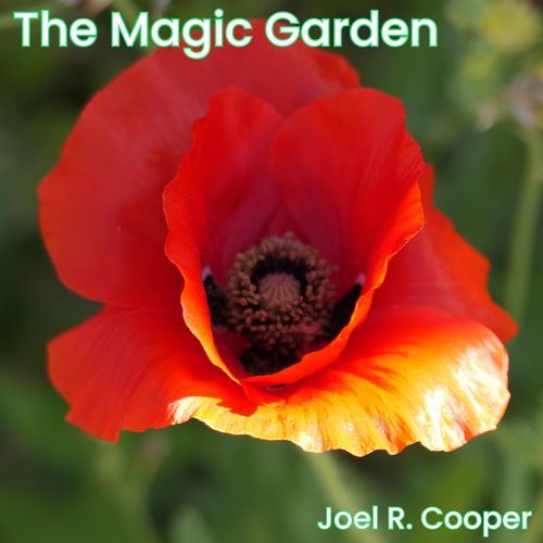 The Magic Garden