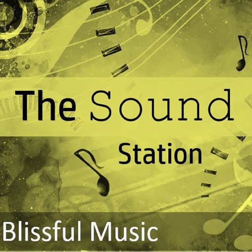 The Sound Station: Blissful Music