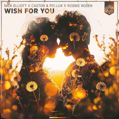 Wish For You_poster_image