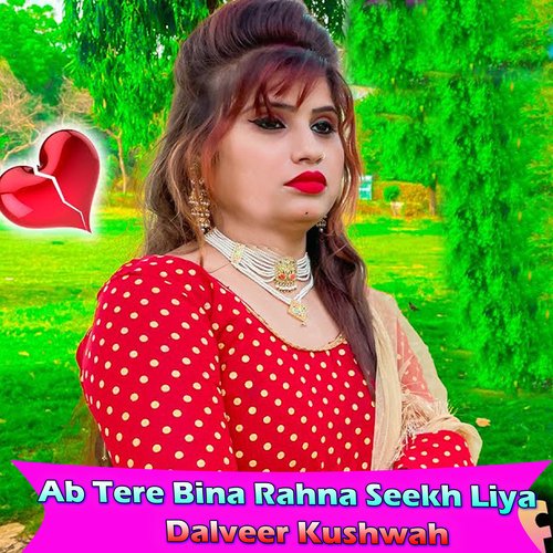 Ab Tere Bina Rahna Seekh Liya