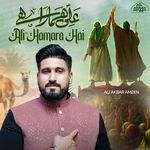 Ali Hamara Hai