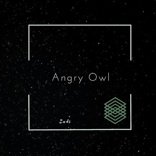 Angry Owl