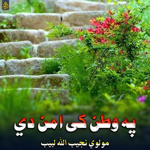 په وطن کی امن دي