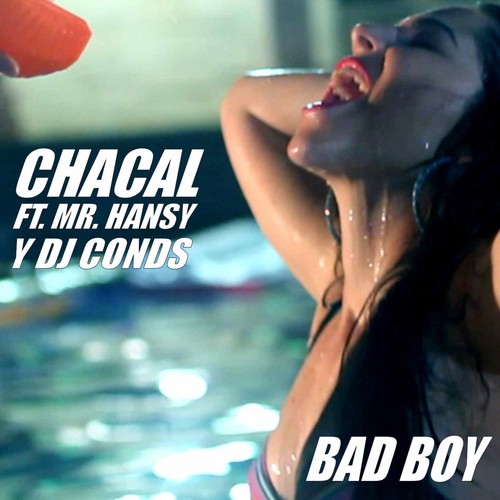 Bad Boy_poster_image