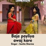Baje payliya awaj kare (Hindi Song)