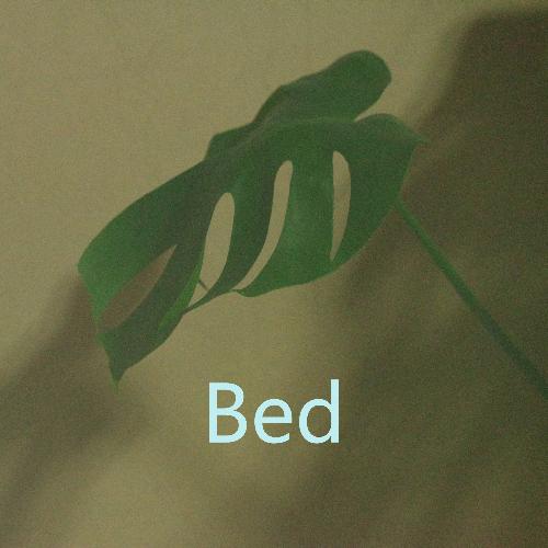 砂洲 cover art