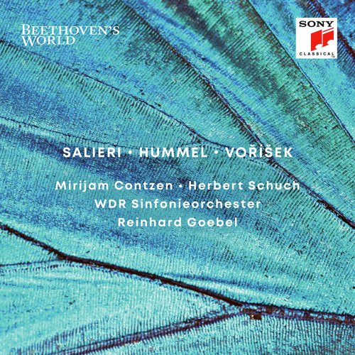 Double Concerto in G Major, Op. 17: III. Finale. Rondo allegretto