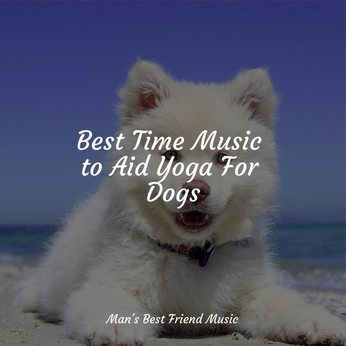 Best Time Music to Aid Yoga For Dogs