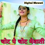 Chot Pe Chot Mewati