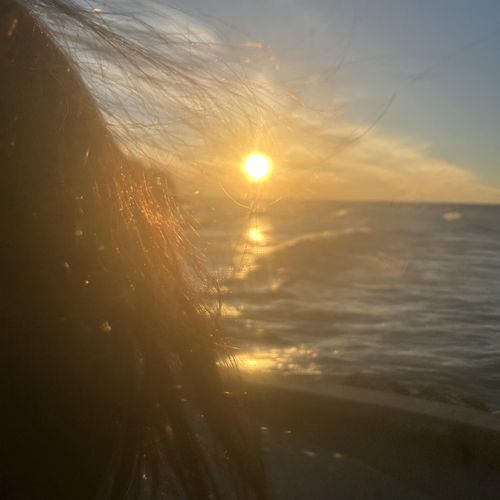 DOSE cover art