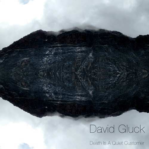 Hummingbird cover art