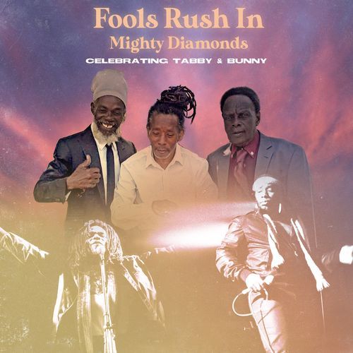 Fools Rush In