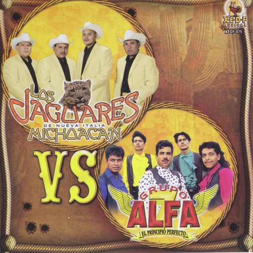 Si No Te Hubieras Ido