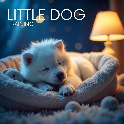 Dog’s Spa Wellness cover art