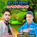 Sun Pyare Devariya Aab Naye Tere Bas Ki