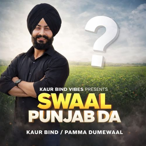 Swaal Punjab Da
