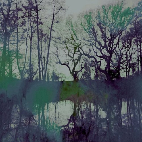 Auroralei cover art