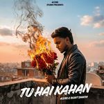 TU HAI KAHAN
