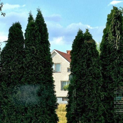 A Minor Arp