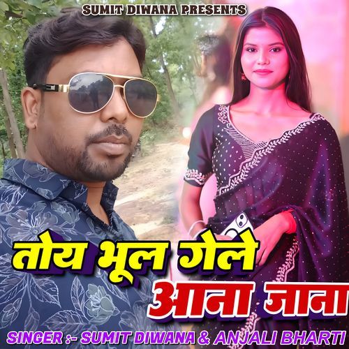 Toy Bhul Gele Aana Jana