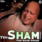 Yeh Sham Phir Nahin Ayegee (Remix)