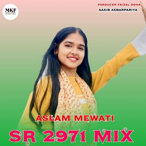Aslam Mewati Sr 2971 Mix