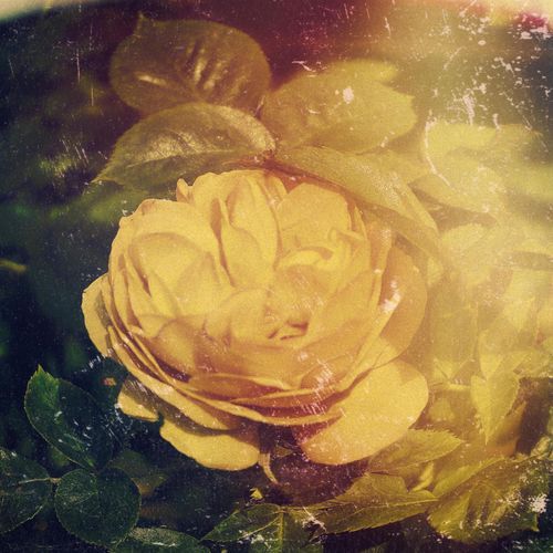 Calm Spa Melody Meditation Vol.1