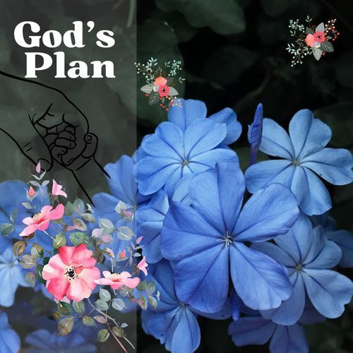 God's Plan