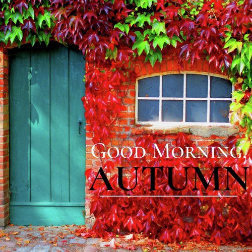 Good Morning, Autumn_poster_image