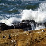 Gamecade Game Junction