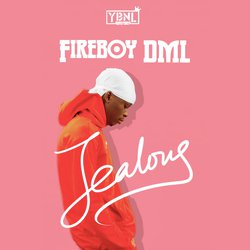 Fireboy Dml