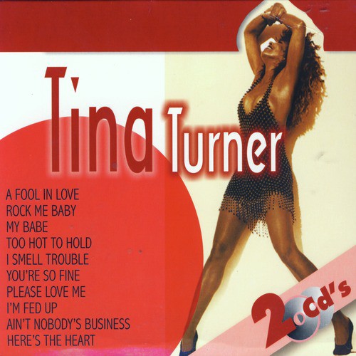 Lo Mejor De Tina Turner (The Best of Tina Turner)