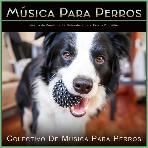 Música para Dormir a Los Perros cover art