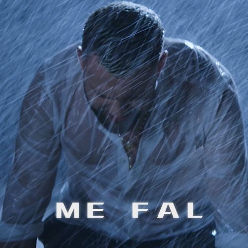 ME FAL_poster_image