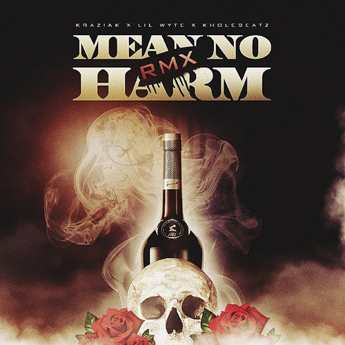 Mean No Harm Rmx_poster_image