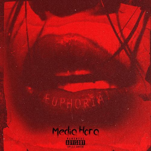 Media Hora cover art