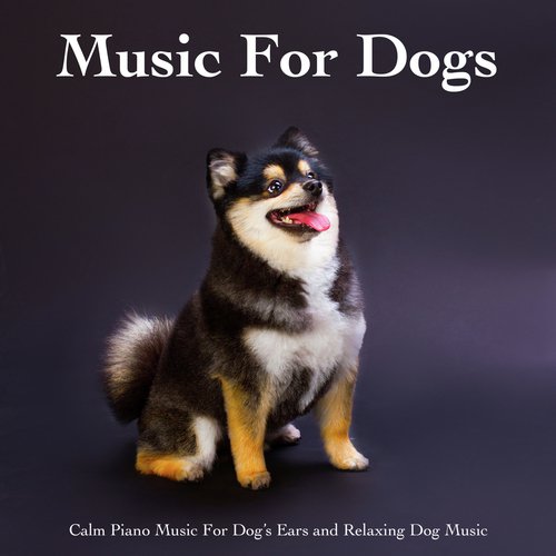 Music For Dogs: Calm Piano Music For Dog’s Ears and Relaxing Dog Music