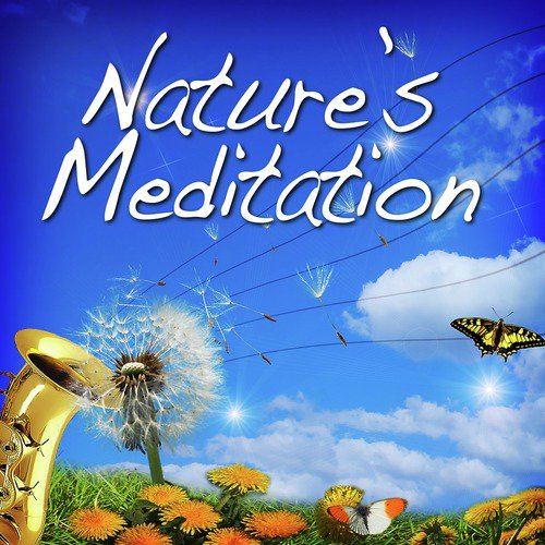 Nature's Meditation (Music with Nature Sounds)