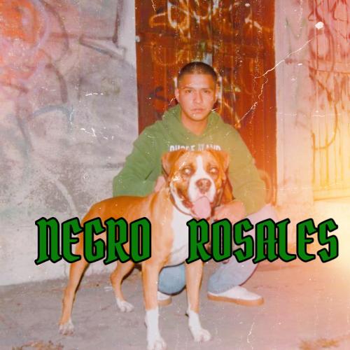 Inicio y Termina cover art