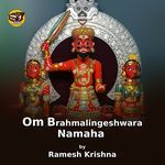 Om Brahmalingeshwara Namaha