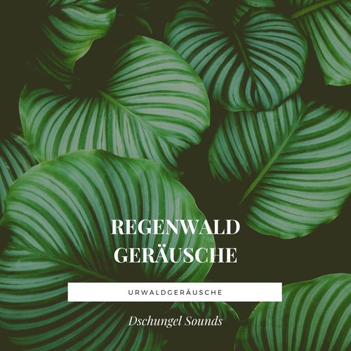 Schlafen Akademie cover art
