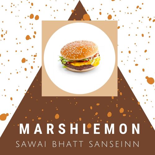 Sawai Bhatt Sanseinn cover art