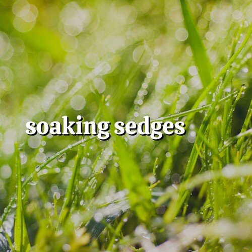 Soft Gentle Sleeping Rain Sounds, Pt. 5