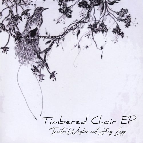 The Race cover art