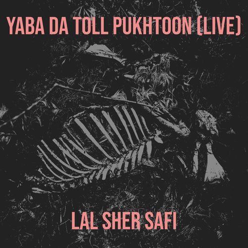 Yaba da Toll Pukhtoon (Live)