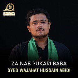  Syed Wajahat Hussain Abidi