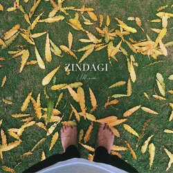 Zindagi-FlpaYyx1RlU