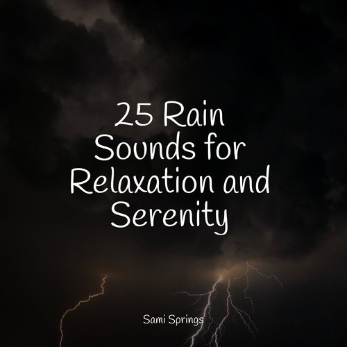 25 Rain Sounds for Relaxation and Serenity